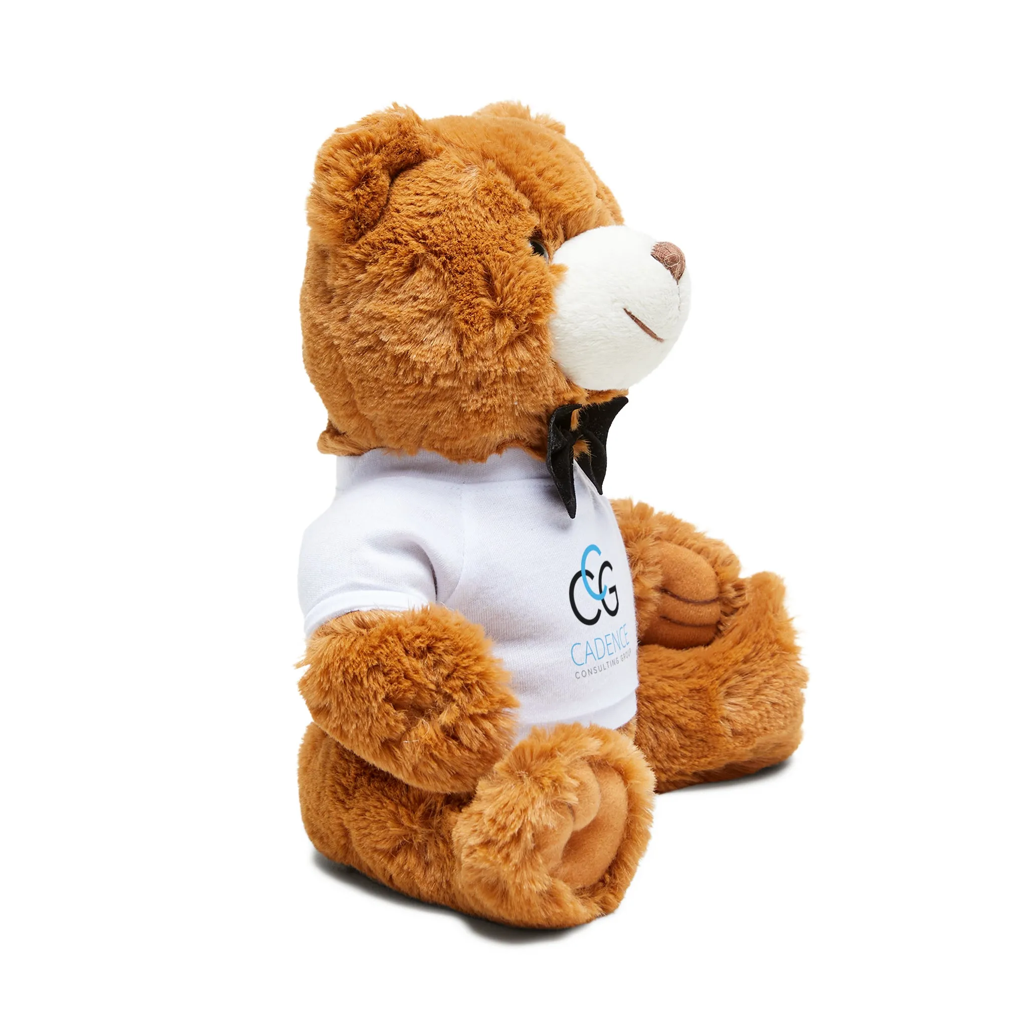 CCG Teddy Bear with T-Shirt