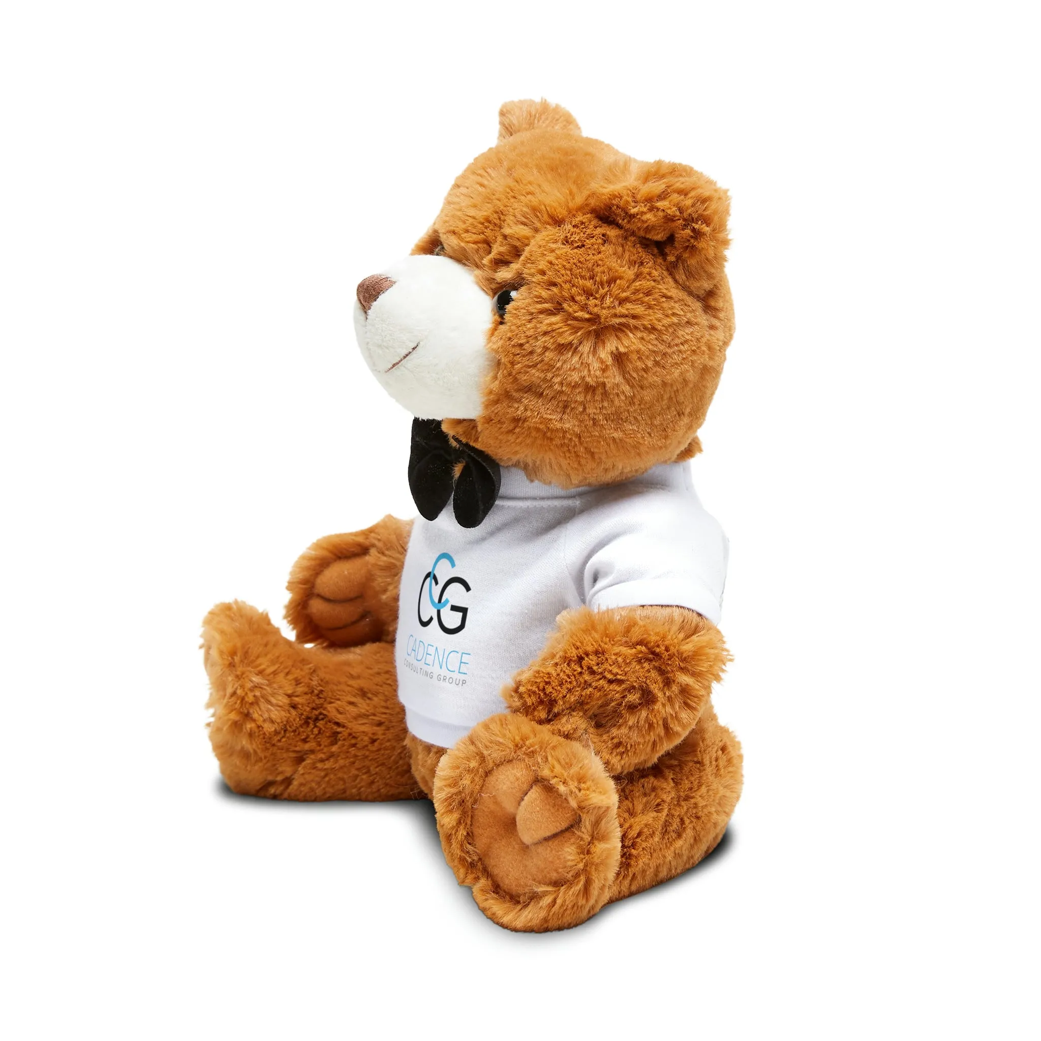 CCG Teddy Bear with T-Shirt