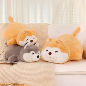 Cute and Cozy Fluffy Dog