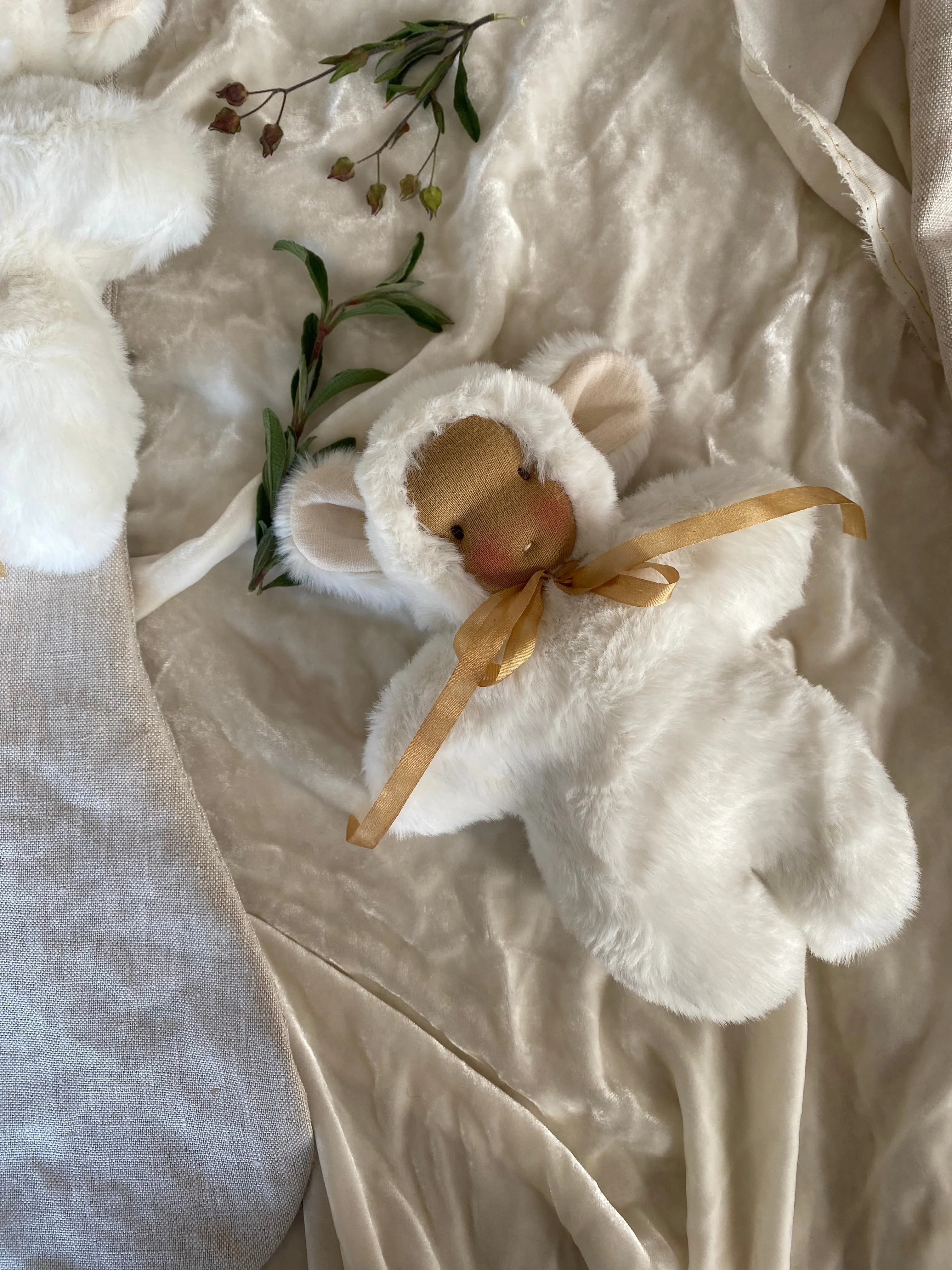 Daisy Bear