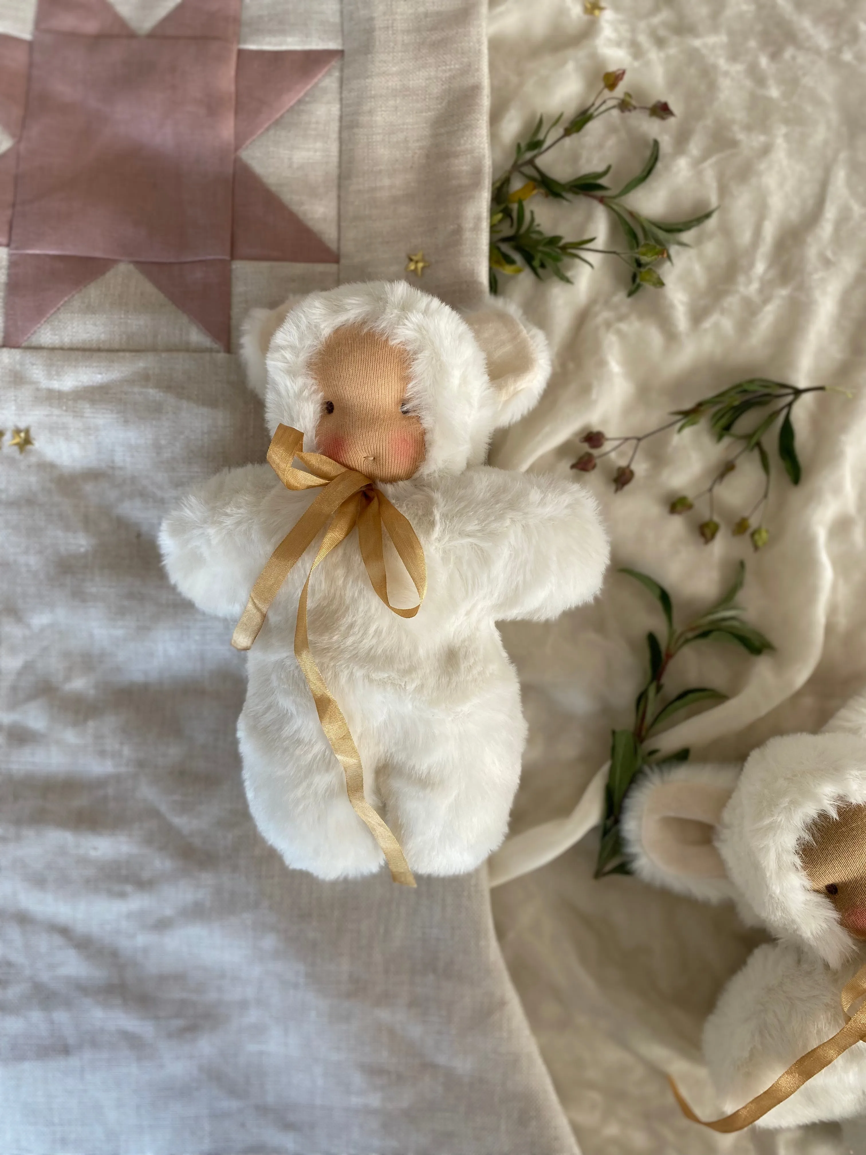 Daisy Bear
