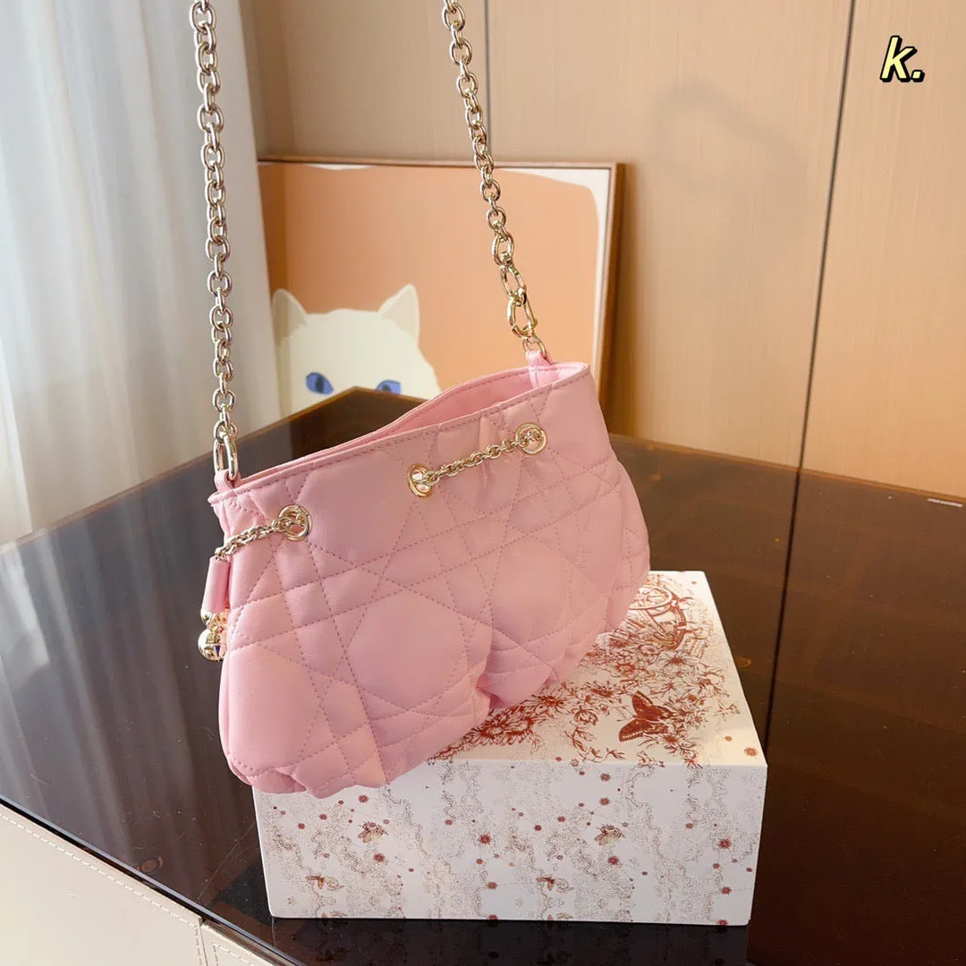 DR284 Small Dior Ammi Bag / 11x6.7x4.7inch