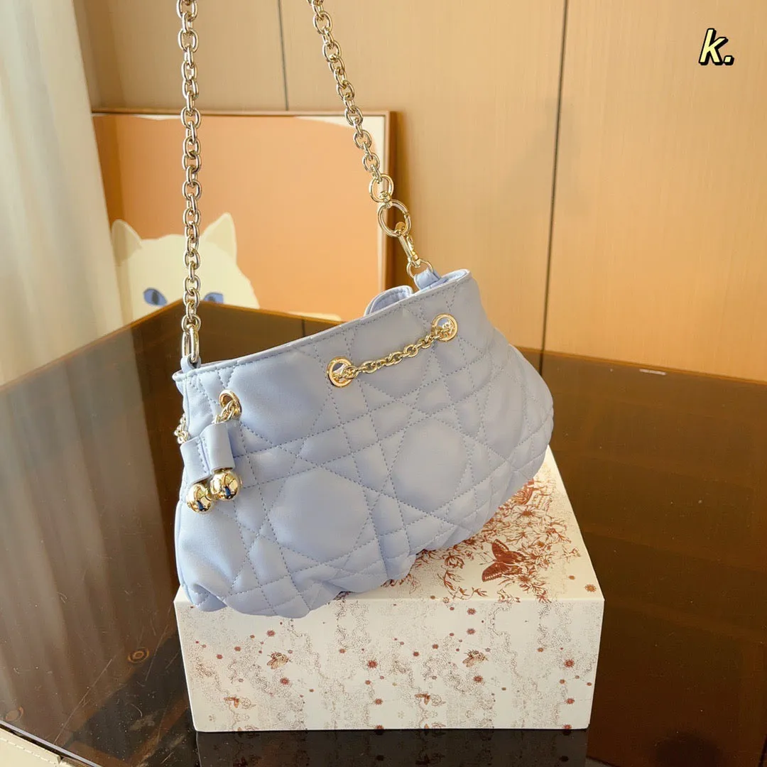 DR284 Small Dior Ammi Bag / 11x6.7x4.7inch