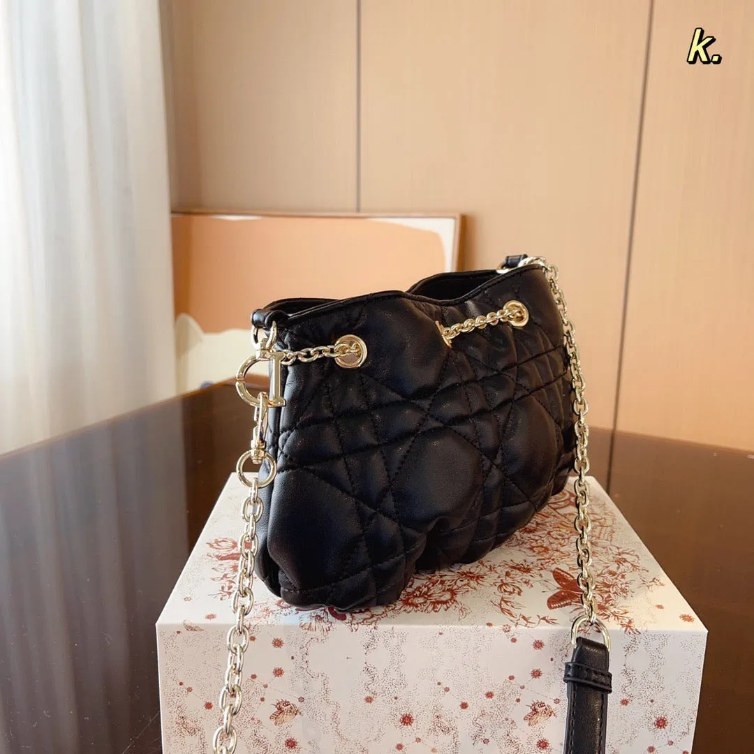 DR284 Small Dior Ammi Bag / 11x6.7x4.7inch