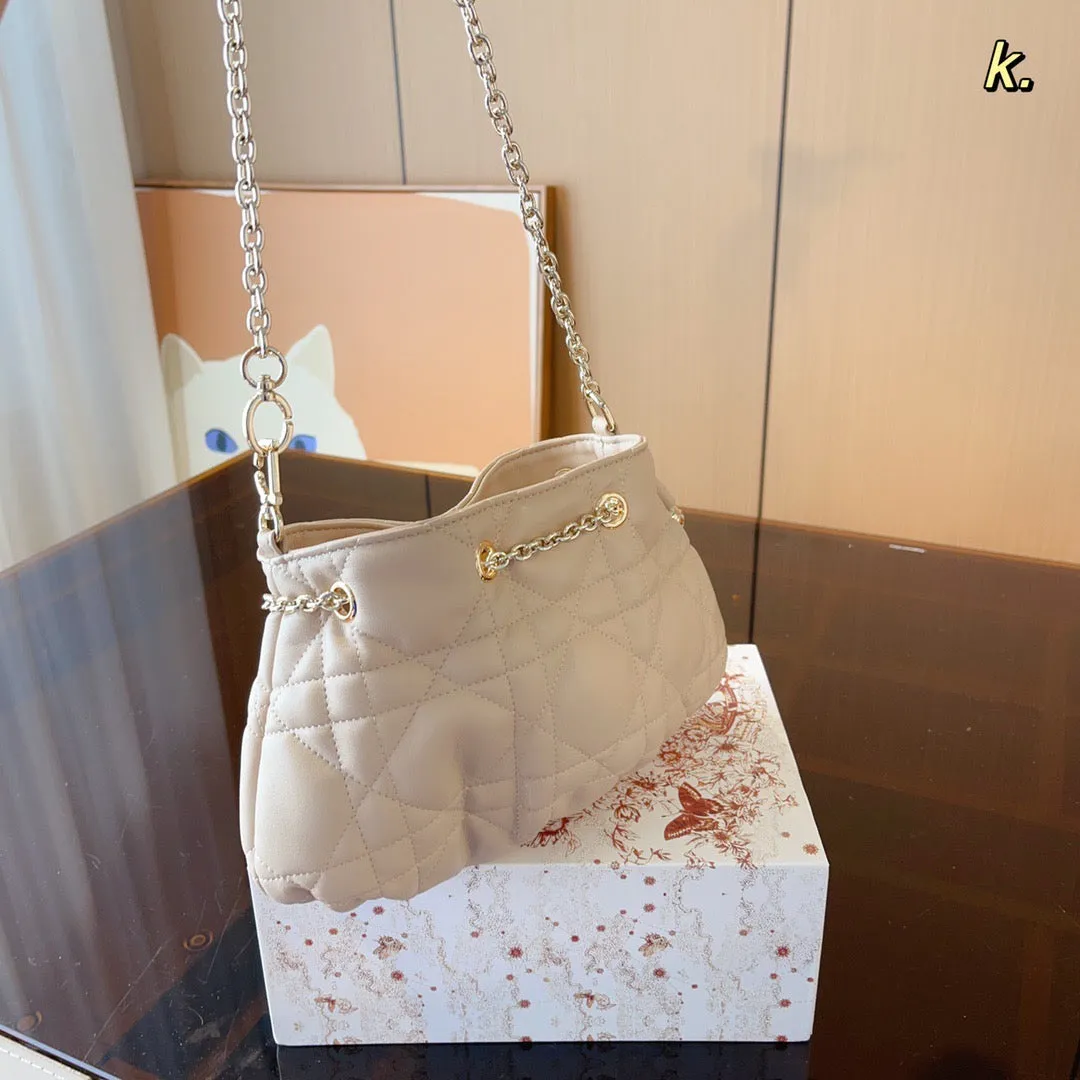 DR284 Small Dior Ammi Bag / 11x6.7x4.7inch