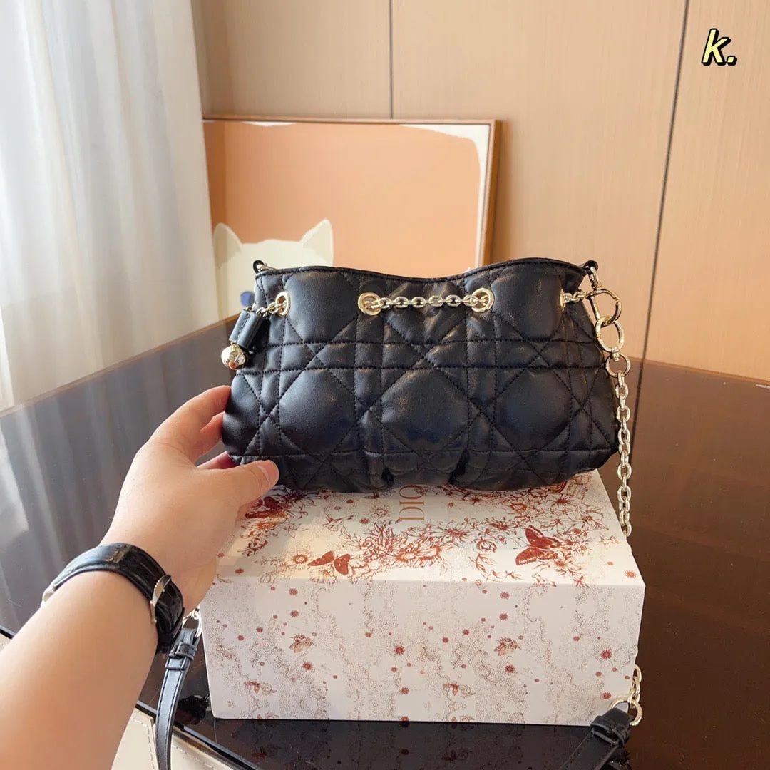 DR284 Small Dior Ammi Bag / 11x6.7x4.7inch