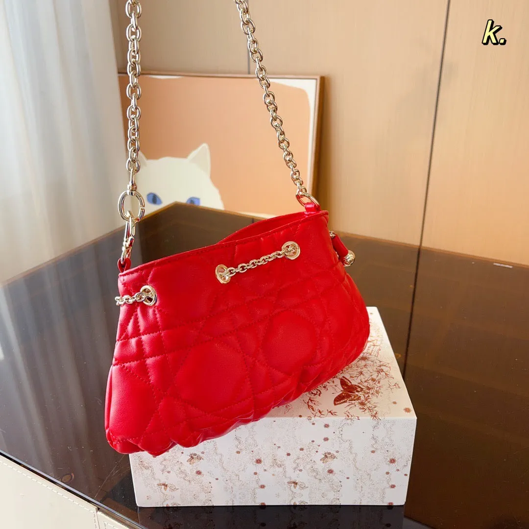 DR284 Small Dior Ammi Bag / 11x6.7x4.7inch