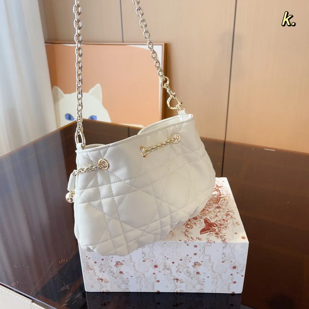 DR284 Small Dior Ammi Bag / 11x6.7x4.7inch