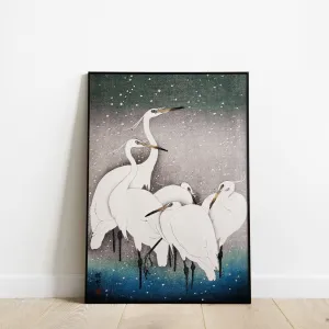 Group of Egrets