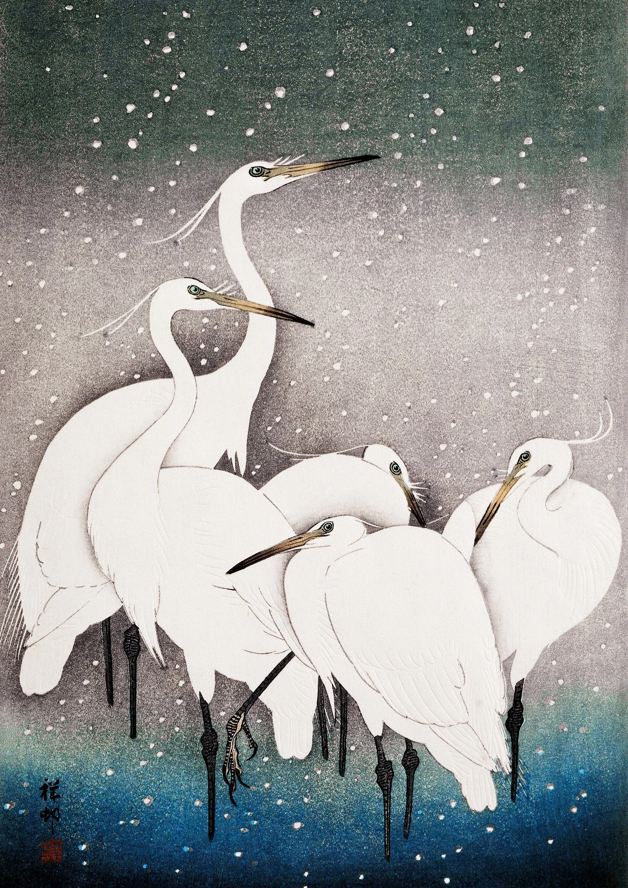 Group of Egrets
