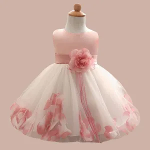 High Grade Autumn Children's Fluffy Princess Dress - Infant to 1 Year Old - Factory Direct Sales