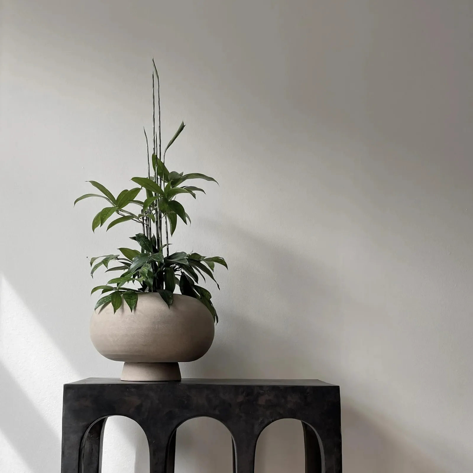 Kabin, Fat | Vase