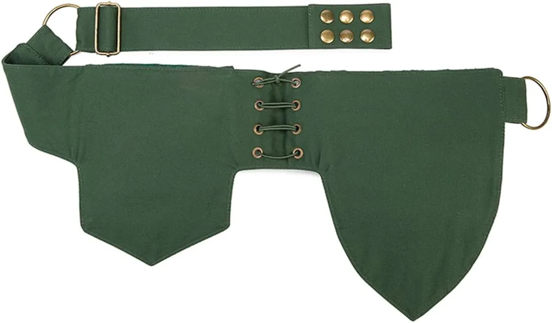 Larswon Renaissance Bag Leg Bag for Women, Renaissance Belt, Festival Bag, Waist Bags for Women, Thigh Bag, Style 3: Green, M, renaissance bag