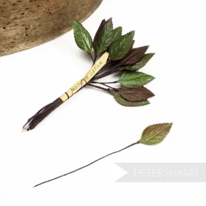 'Lori' Vintage 1950's Petite Japanese Rose Leaves - 24 Stems