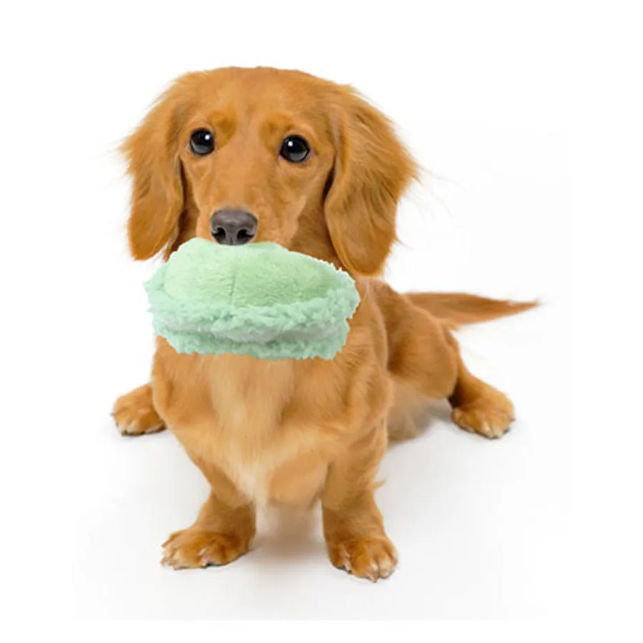 Petz Route Mint Heart Dog Toy