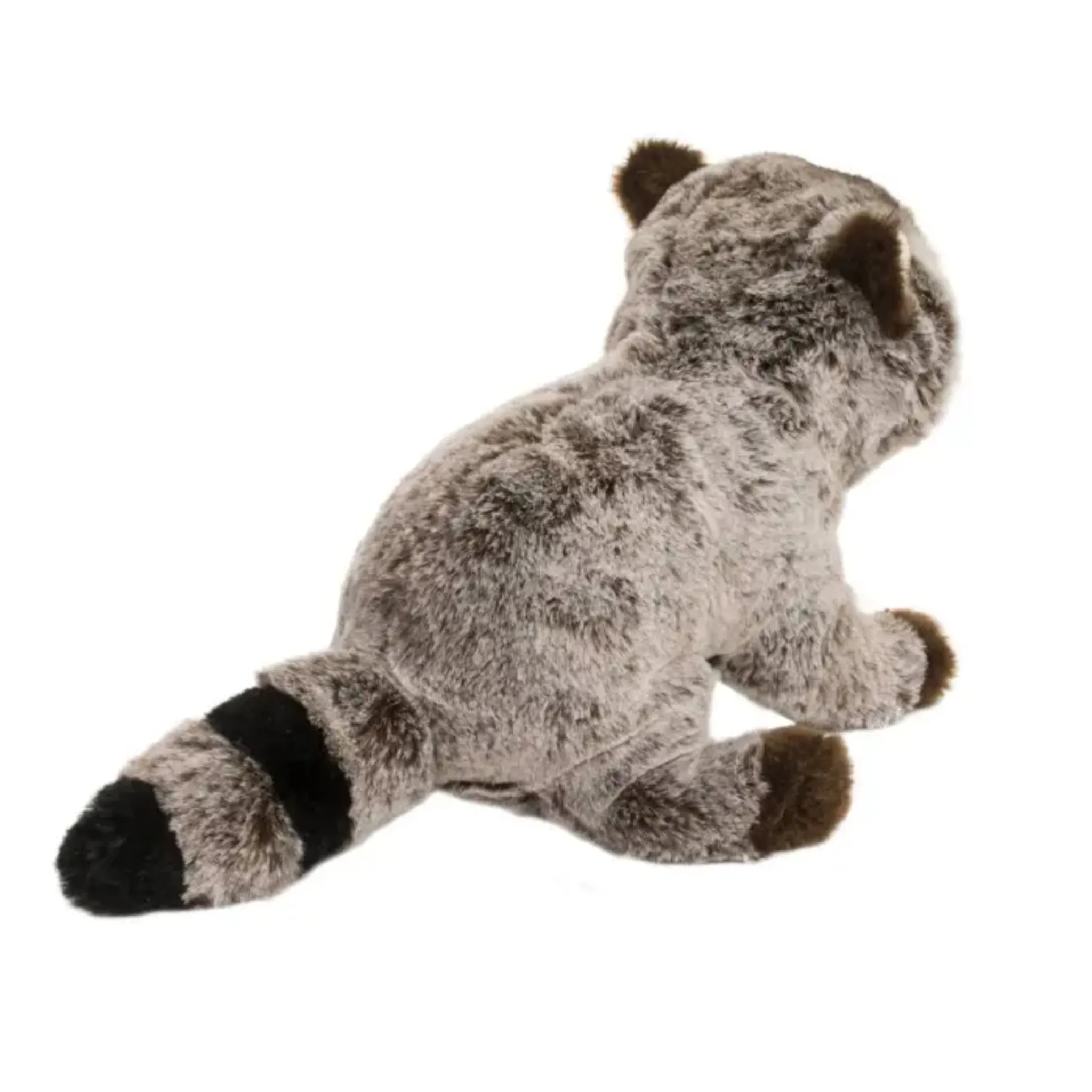 Ringo Raccoon