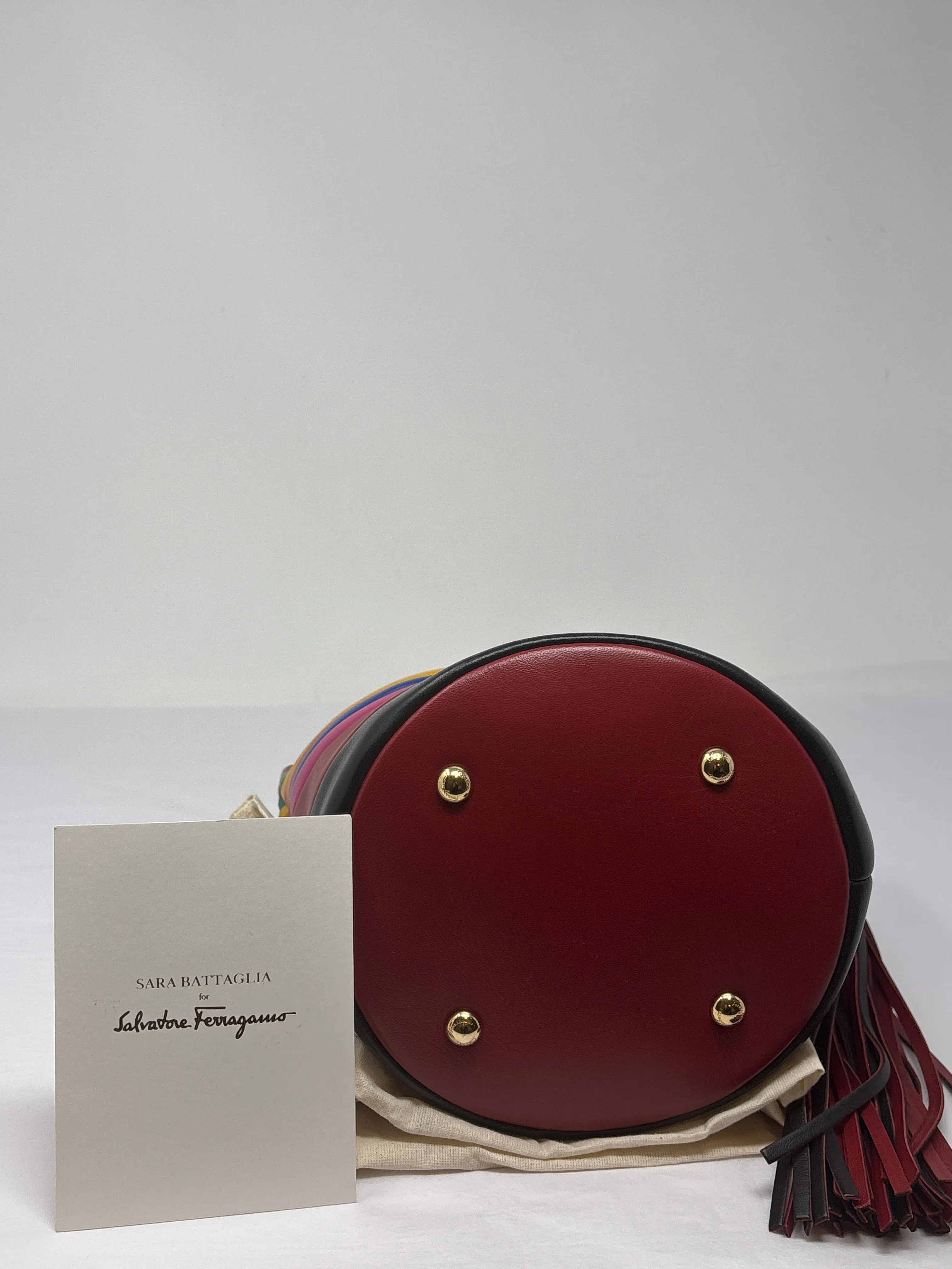 Salvatore Ferragamo muti color bucket bag