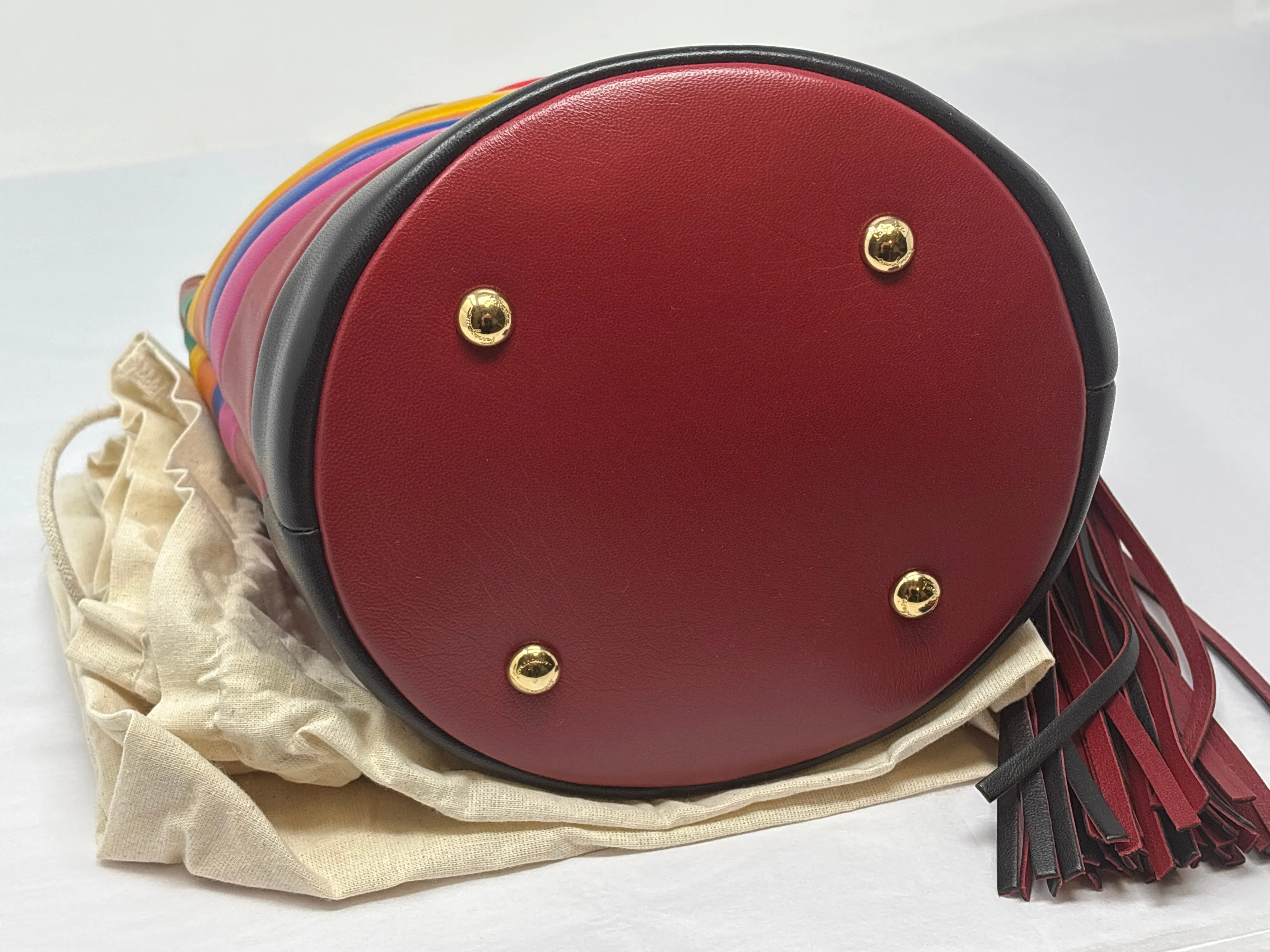 Salvatore Ferragamo muti color bucket bag