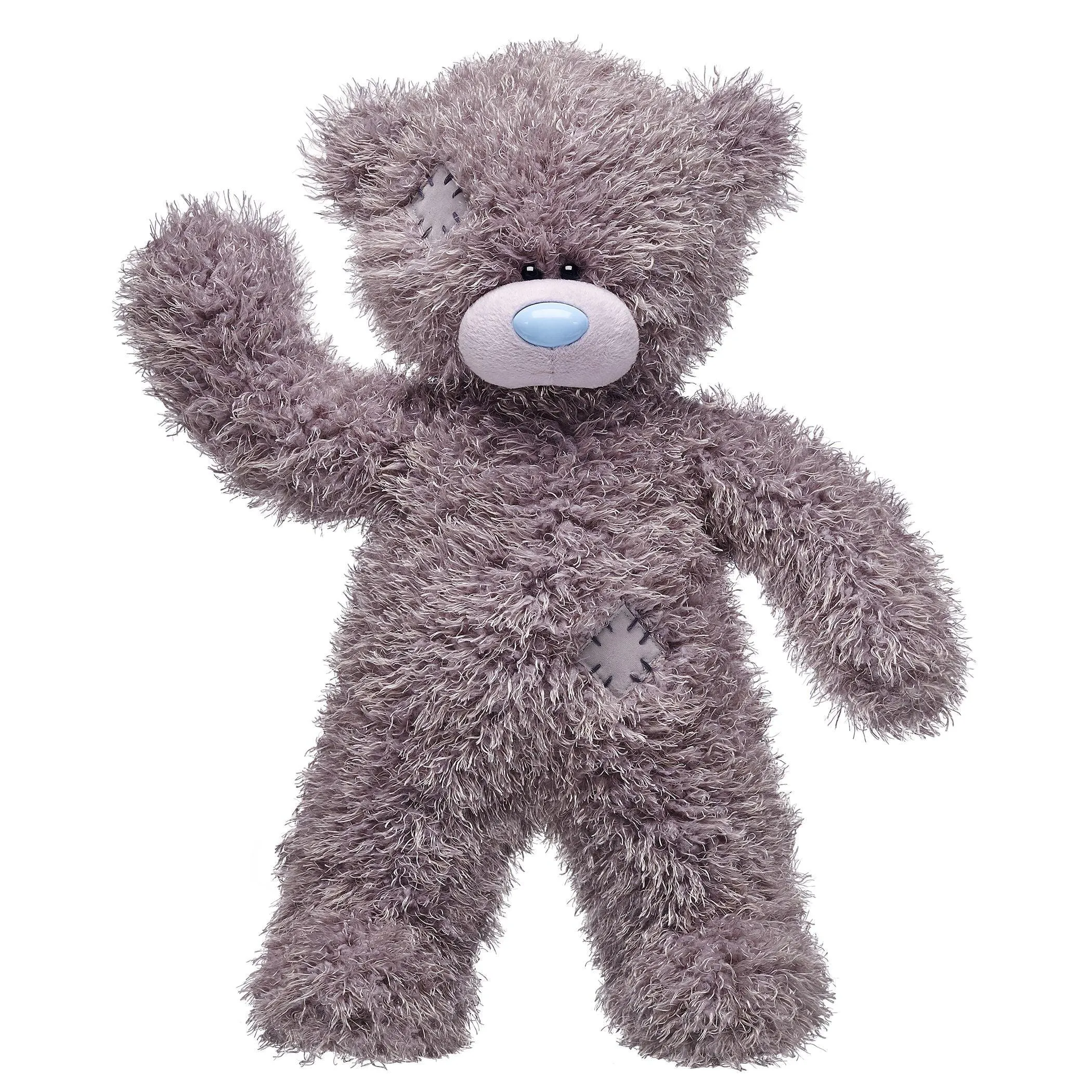 Tatty Teddy