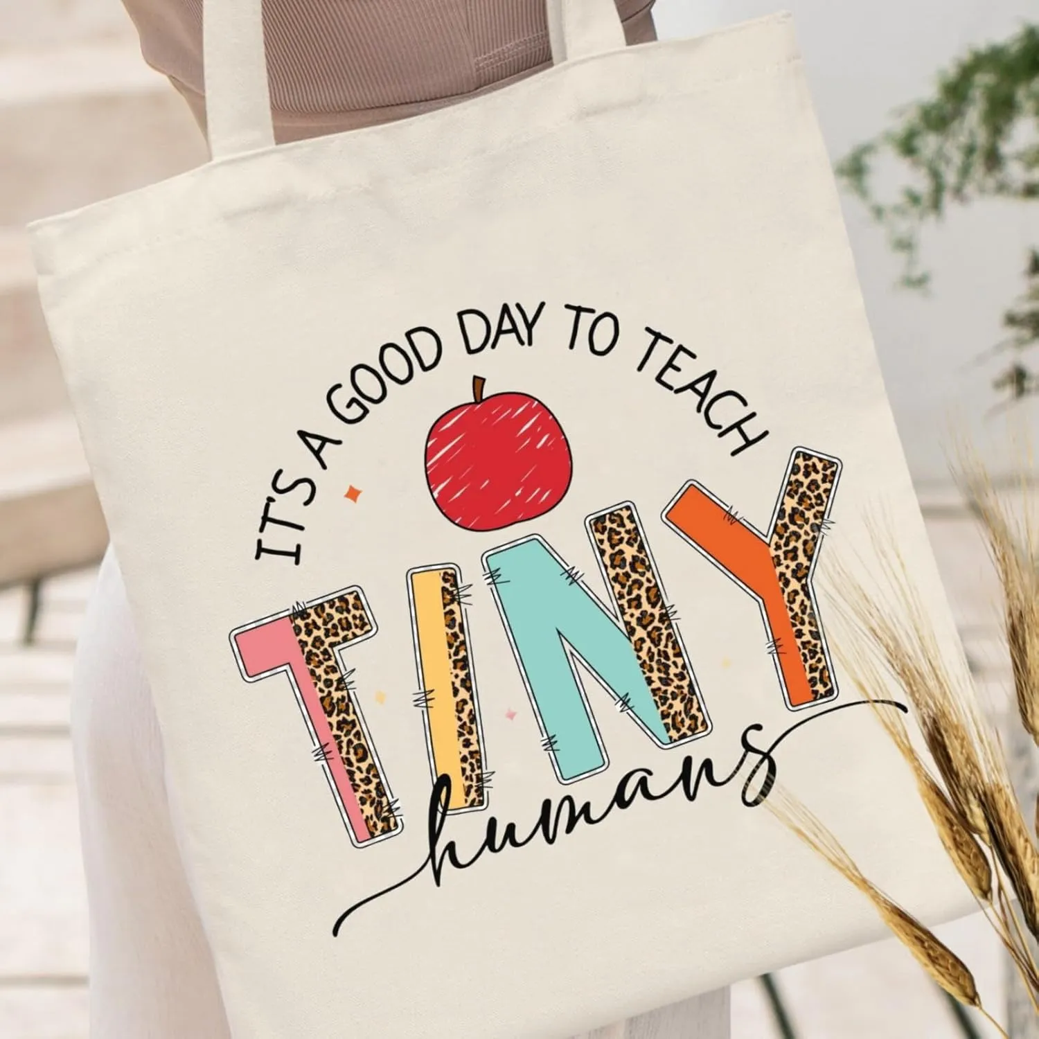Teacher Appreciation Gifts Canvas Tote Bags Aesthetic for Women Cloth Cotton Bags Travel Bag Reusable Grocery Shopping Bag