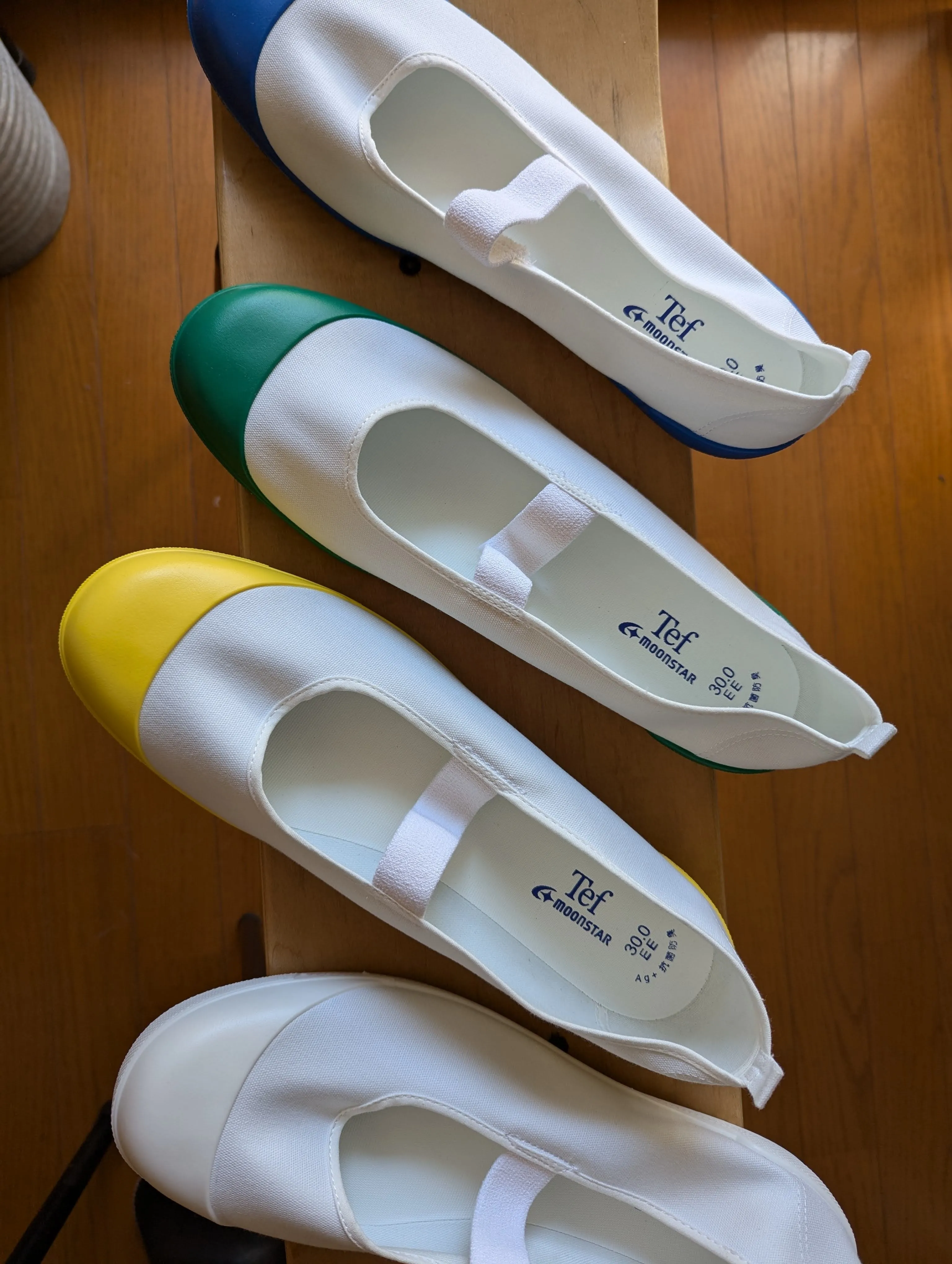 Uwabaki Type #01 [Green]  Japan made school indoor shoes