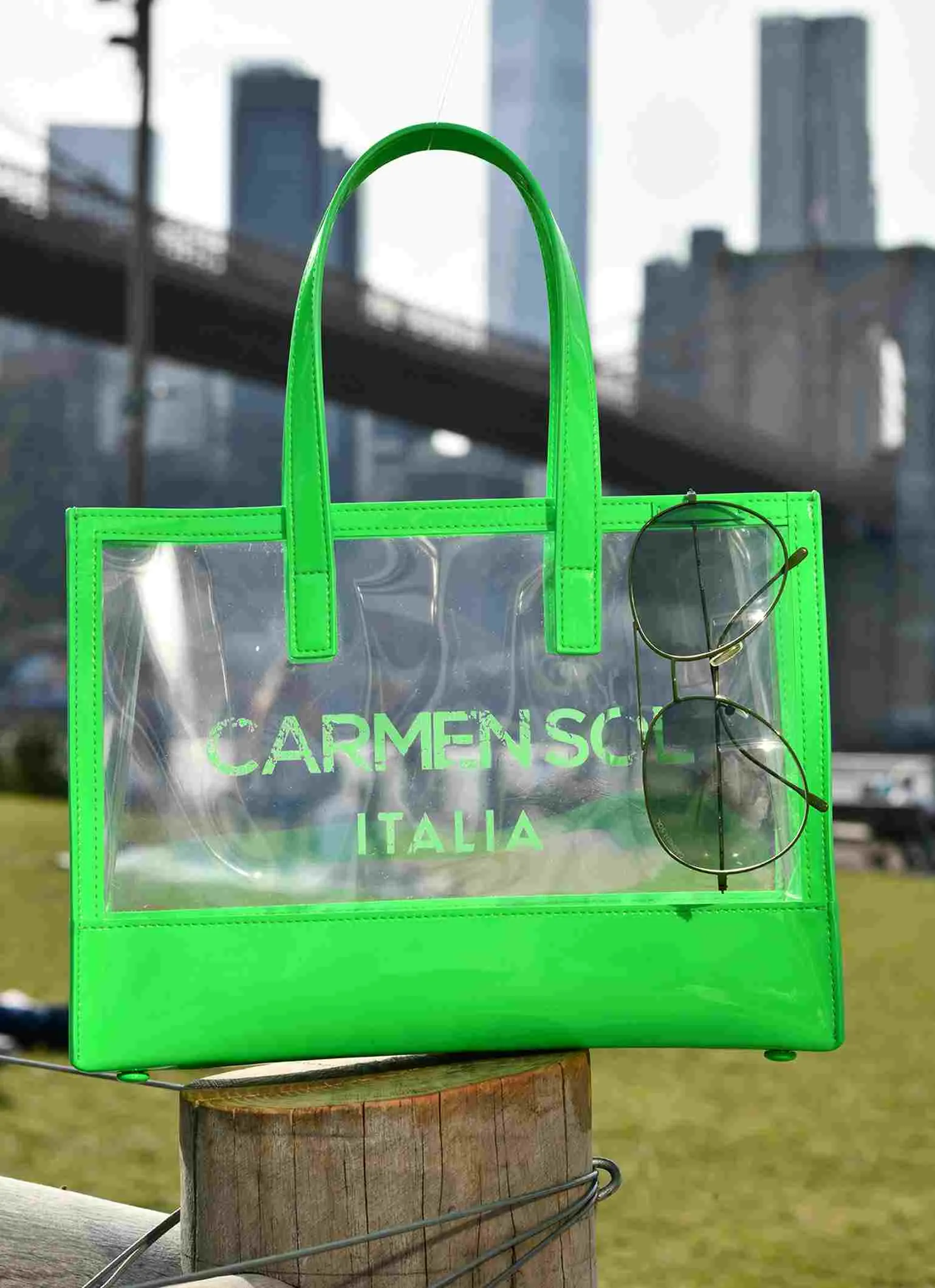 Venezia Clear Mini Tote