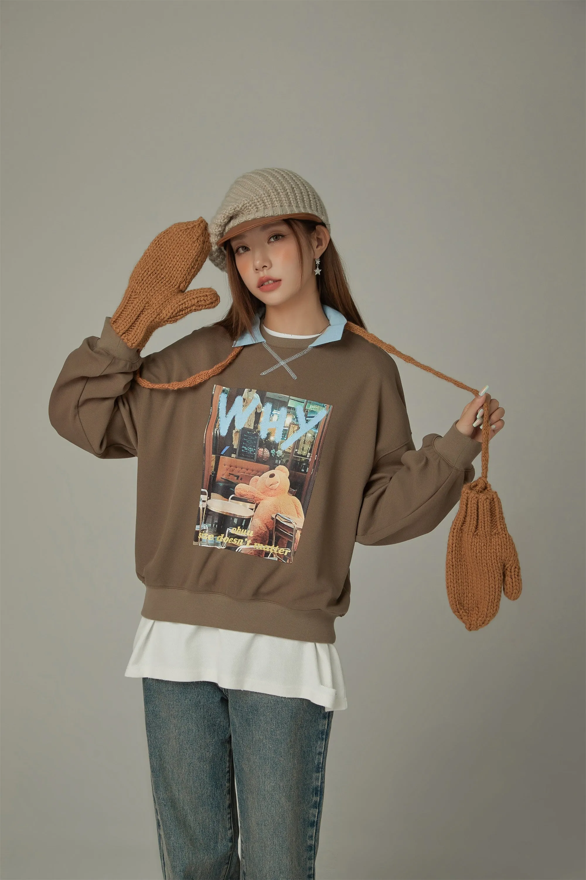 Why Teddy Bear Sweatshirt