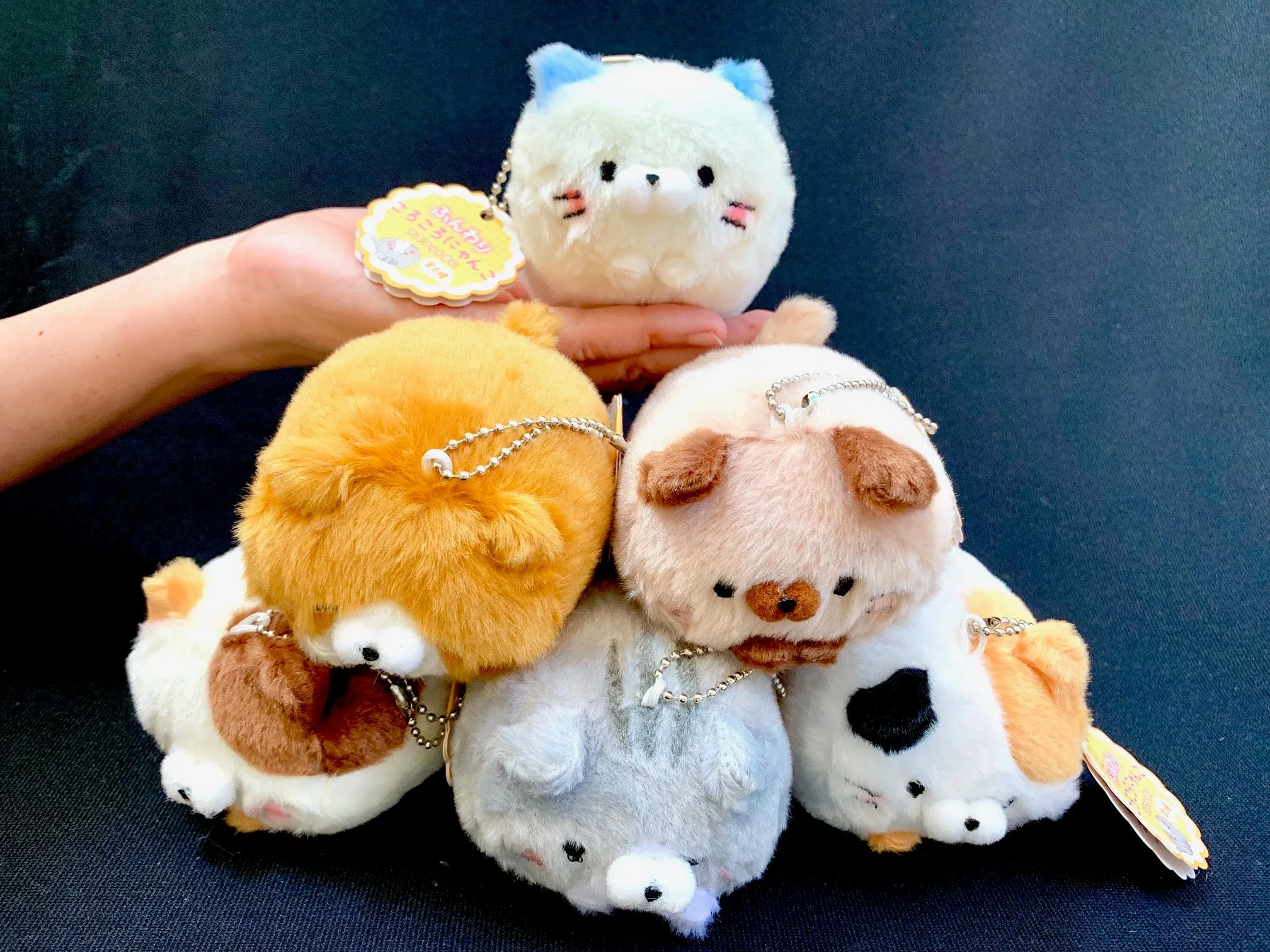 X 63009 CAT KEY CHARM PLUSH-DISCONTINUED