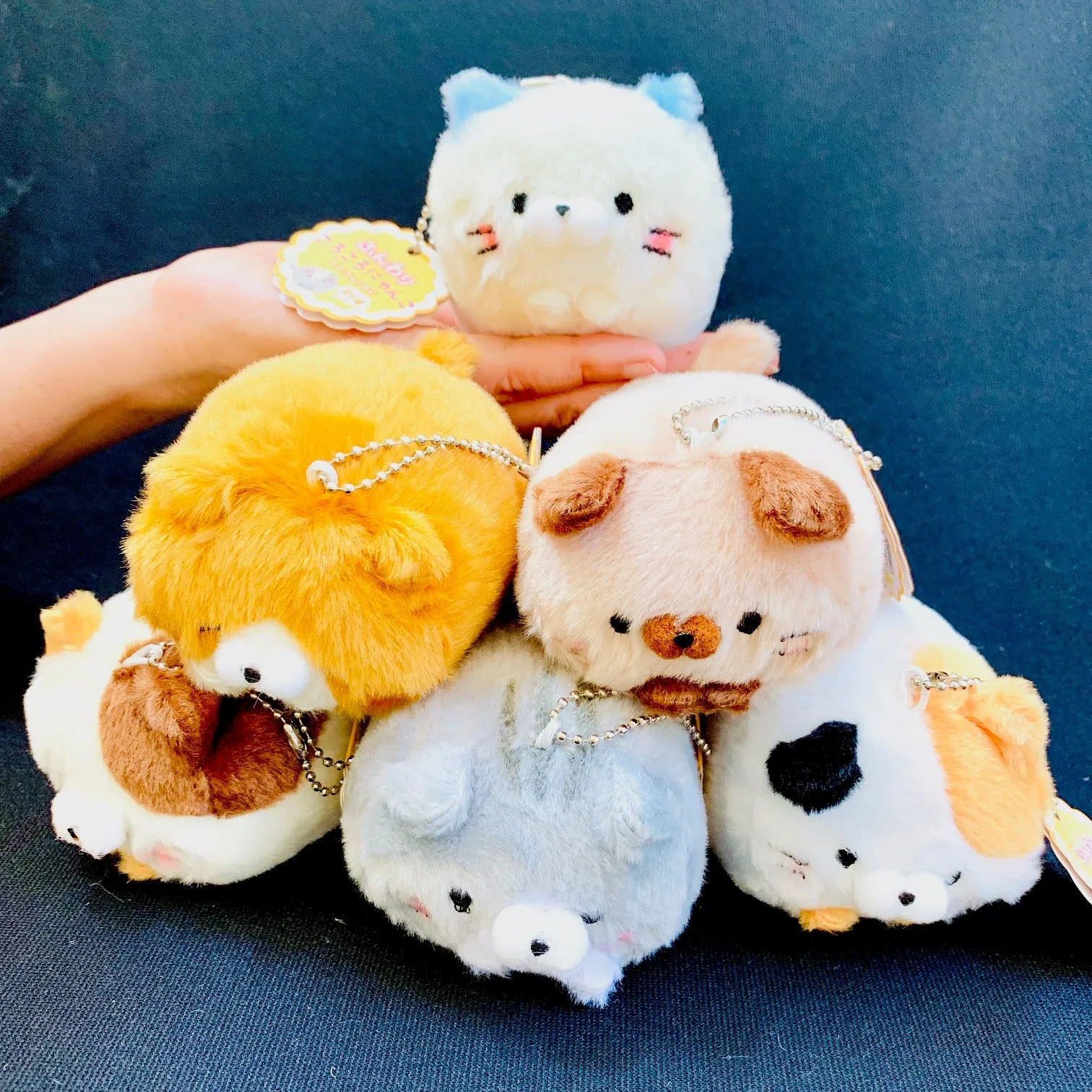 X 63009 CAT KEY CHARM PLUSH-DISCONTINUED